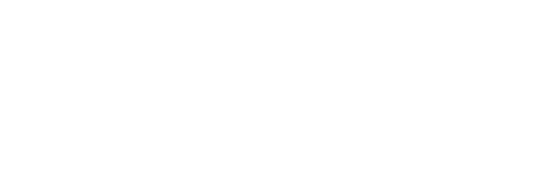 Plexus